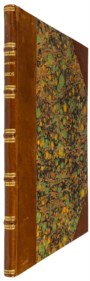 40 tavole originali a colori provenienti dall'opera: Storia naturale degli Uccelli, a cura di Saverio Manetti, Lorenzo Lorenzi e Violante Vanni