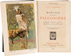 Chiorino G. E. - Il falconiere