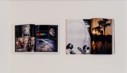 Untitled (Earth, Swamp)