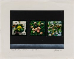 Tappeti-natura nelle vetrine di cso. Vittorio