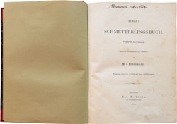 Fr. Berge -  Schmetterlings-buch (il libro delle farfalle)