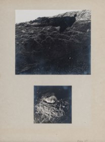 Cronologia o... volontà